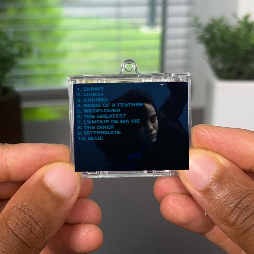 HIT ME HARD AND SOFT Albumtag